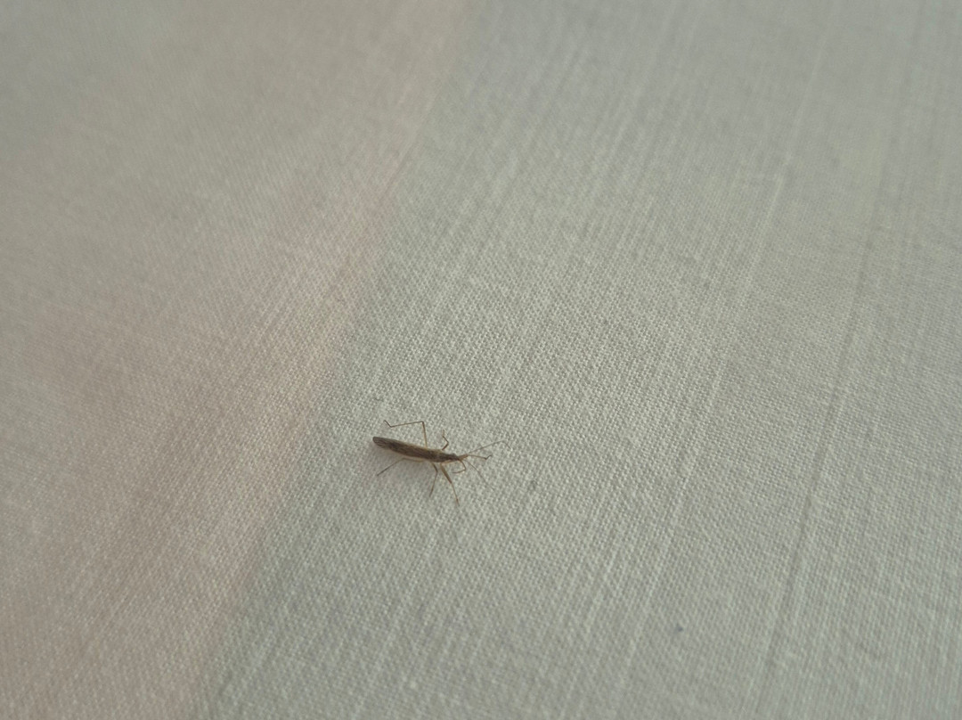 回声点汽车旅馆主图