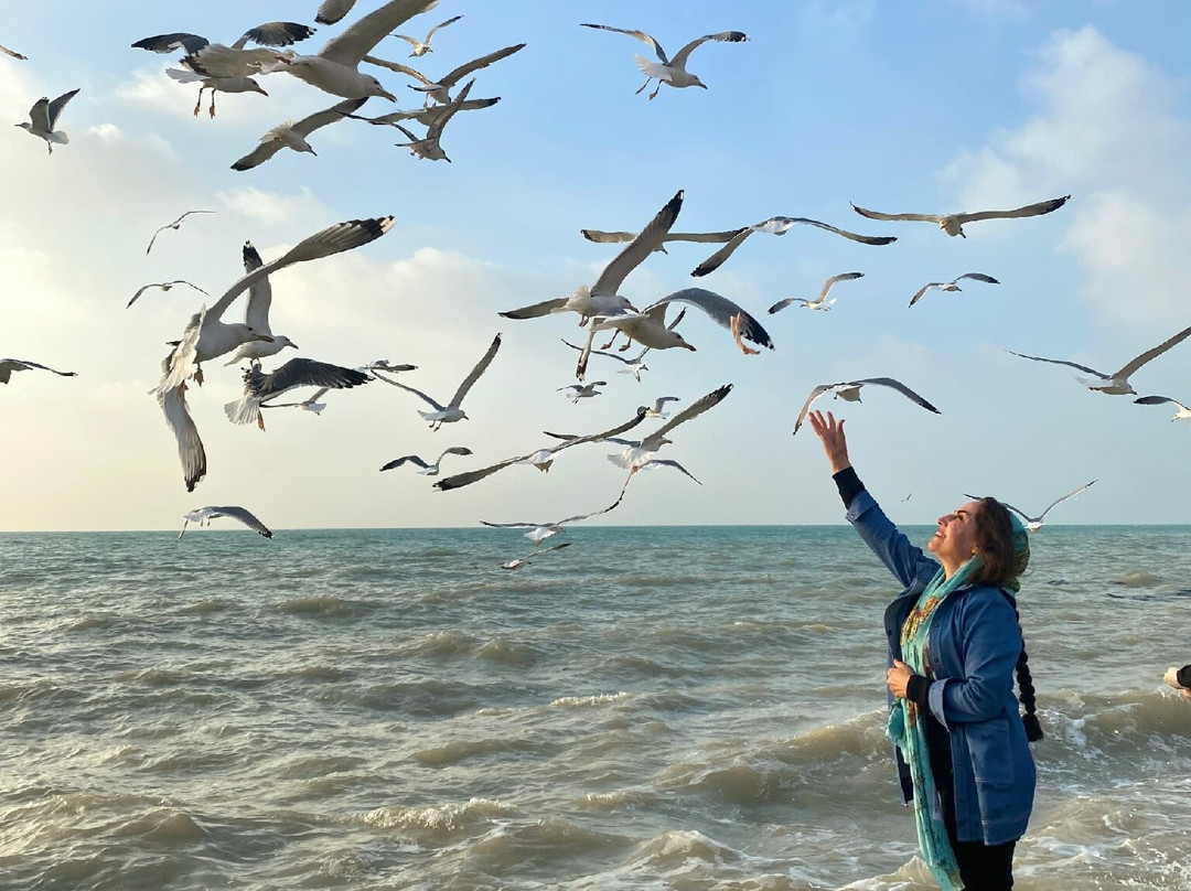 Bushehr Old City-Bushehr必去景点