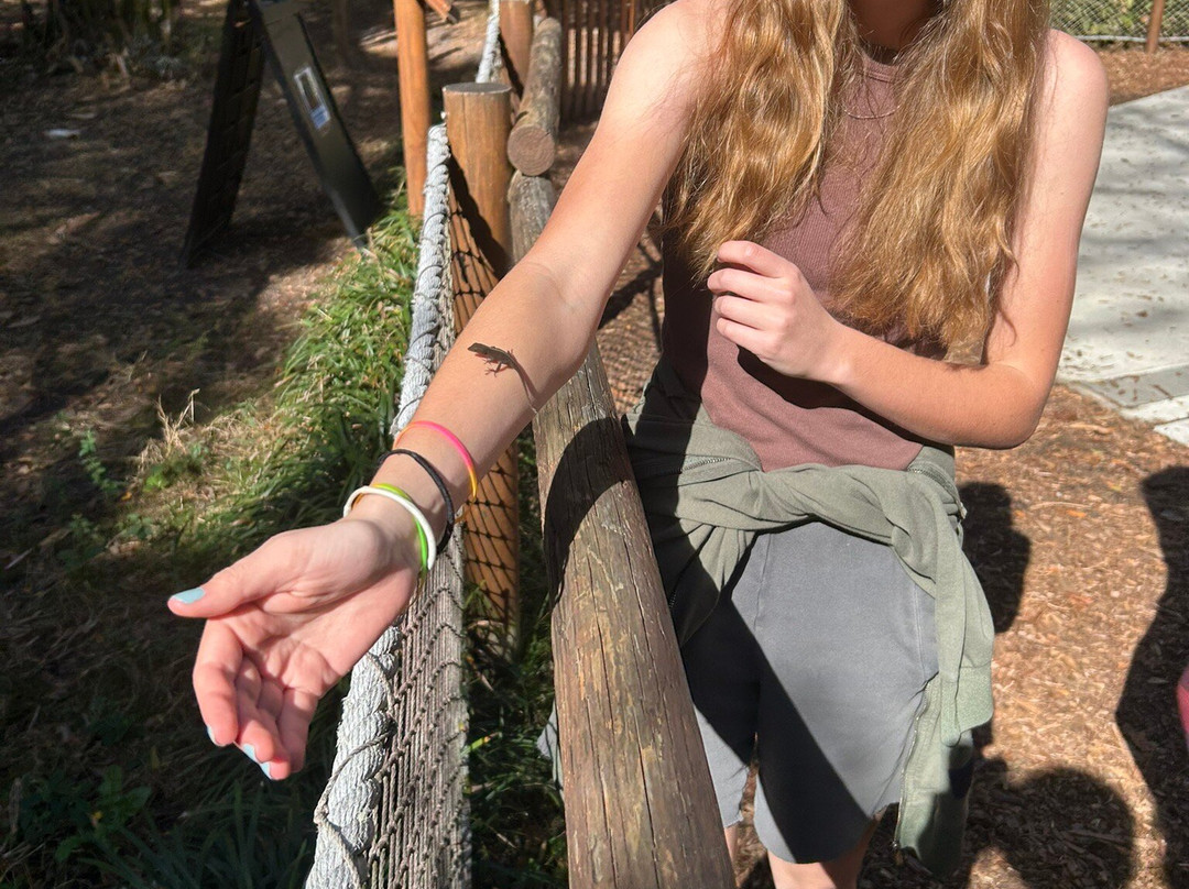 Santa Fe College Teaching Zoo-盖恩斯维尔必去景点