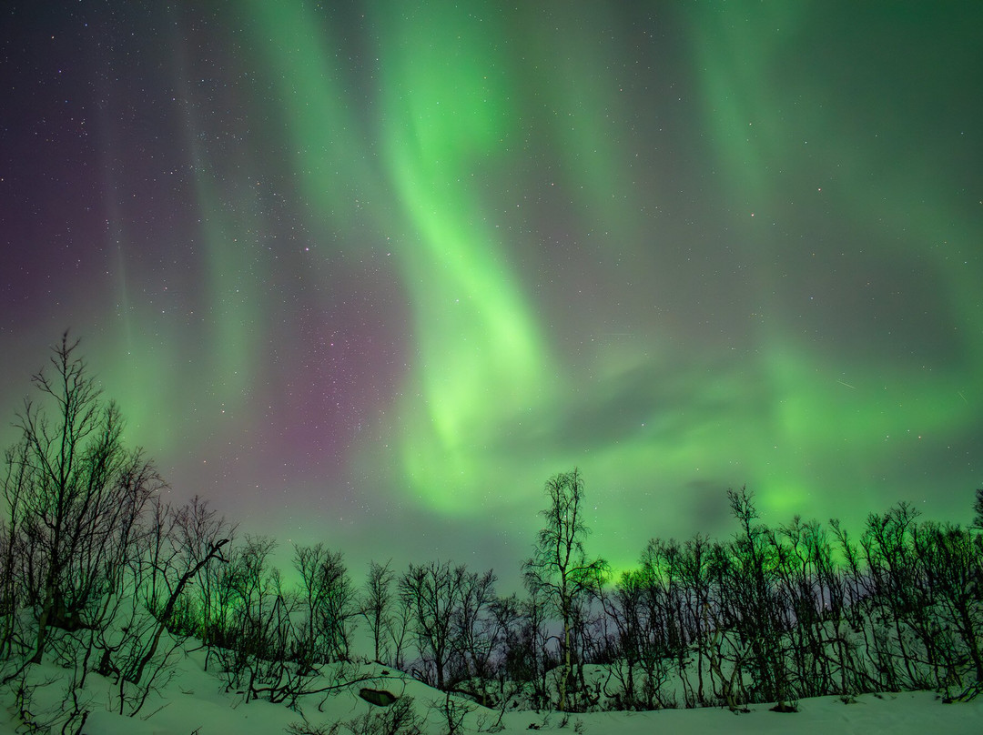 拉普兰极光之旅-阿比斯库必去景点