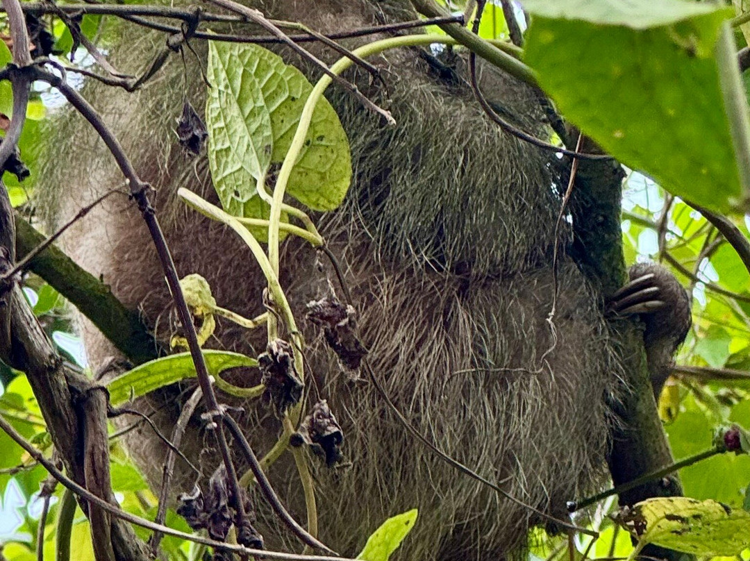 ConchalFun-孔查沙滩必去景点