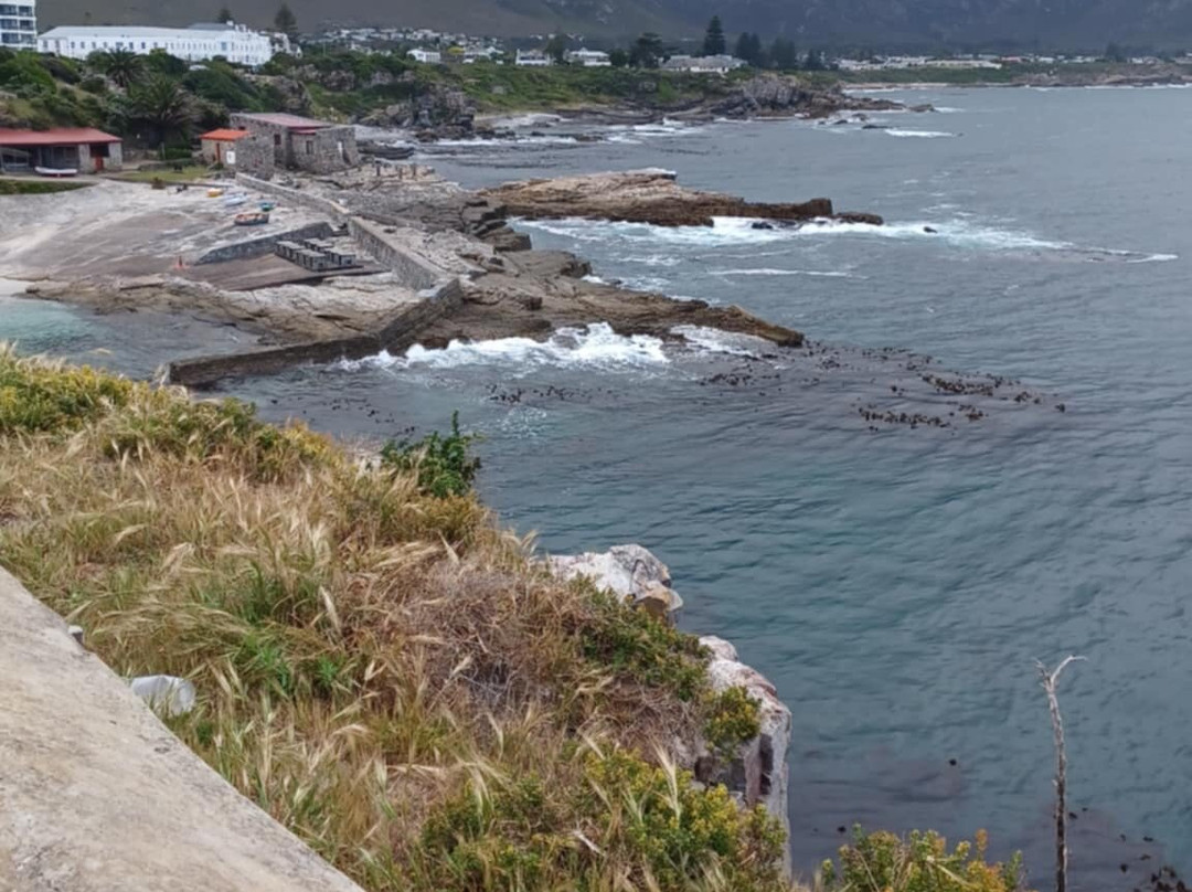 Hermanus Cliff Path-赫曼努斯必去景点