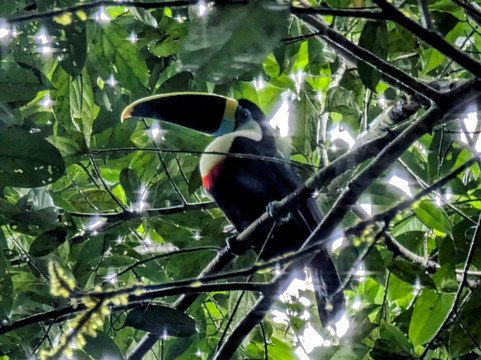 Terra Sur Travels-基多必去景点