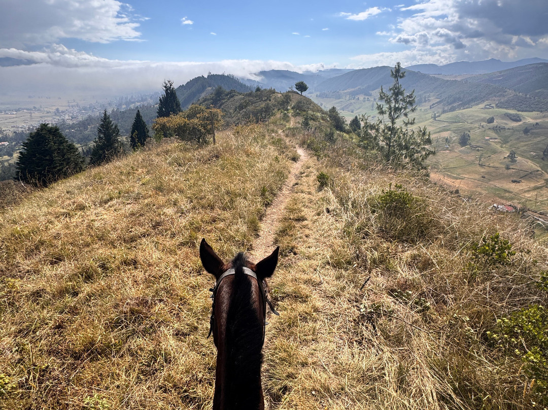 Centro Ecuestre Bellavista-昆卡必去景点