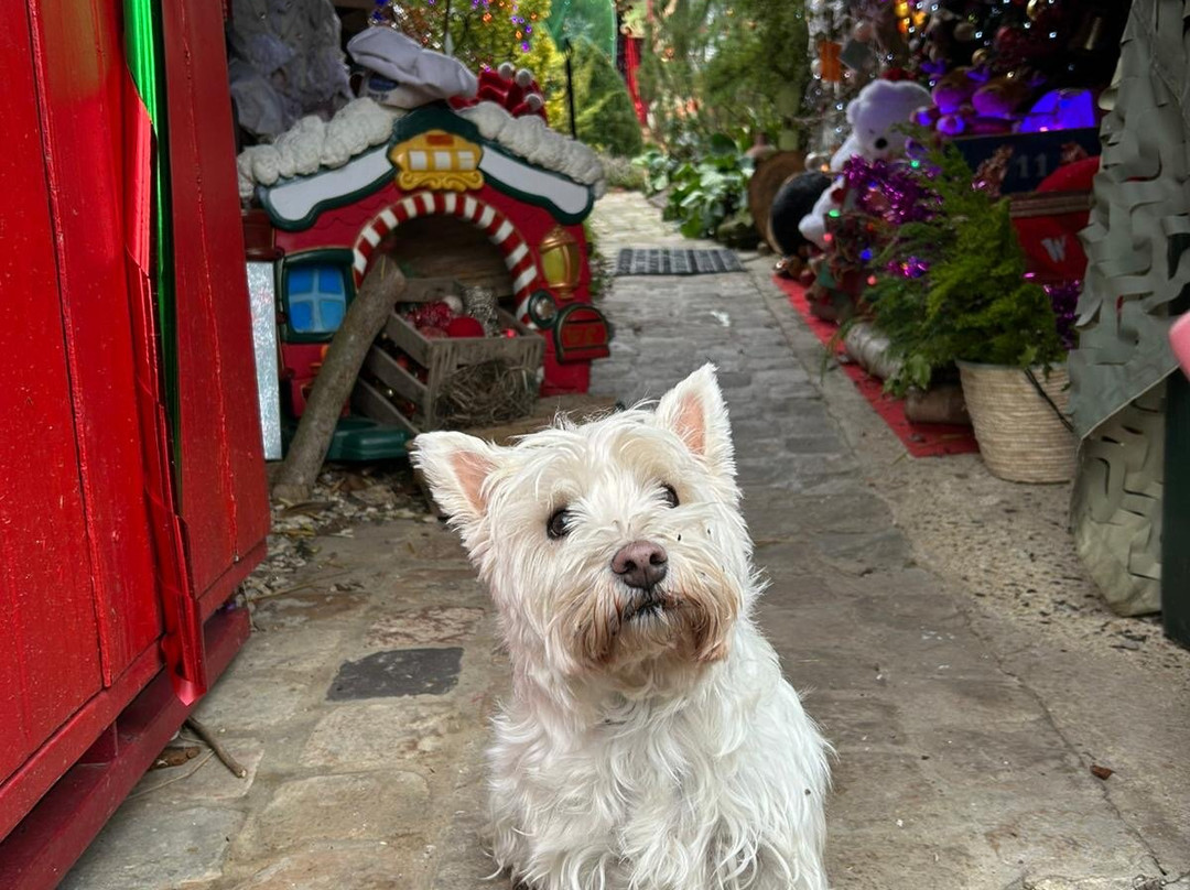 Au2 Maison D'hôtes主图