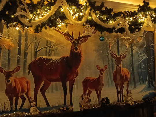 Hotel Heiderhof主图