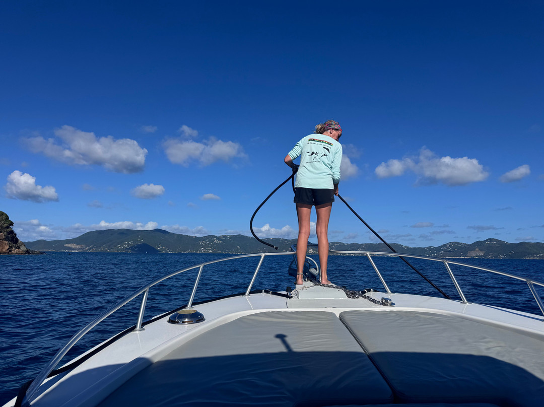 Day Trips BVI-托土拉必去景点