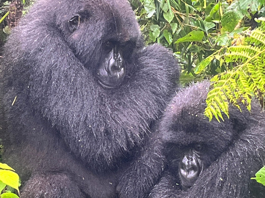 Active African Vacations-坎帕拉必去景点