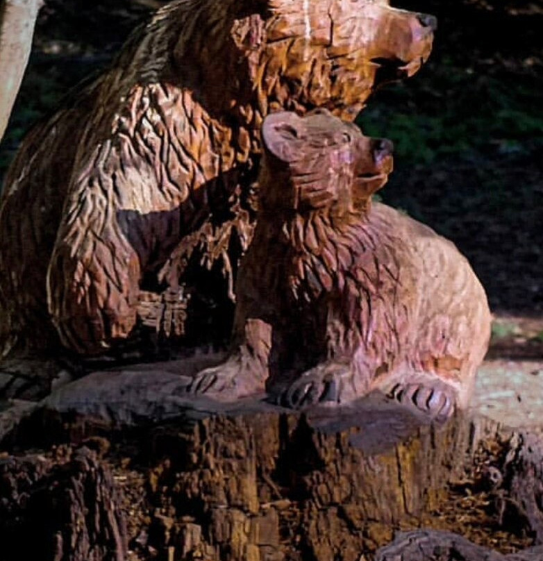 Chandelier Drive-Through Tree-莱吉特必去景点
