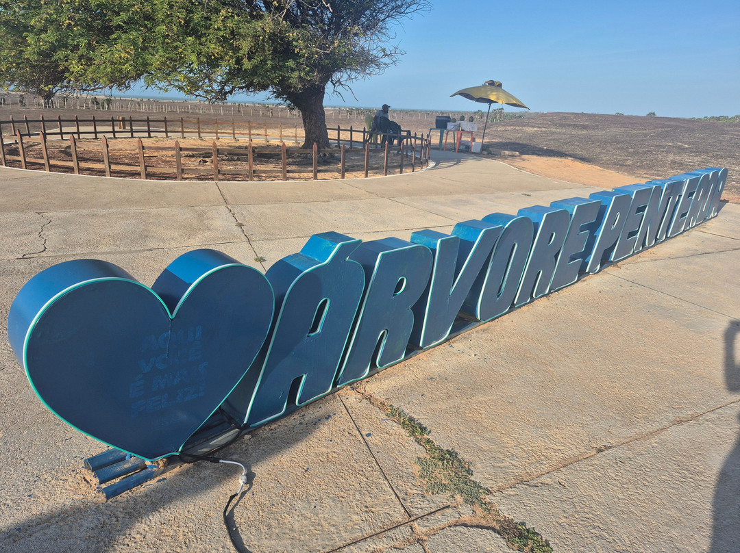 Arvore Penteada-Luis Correia必去景点