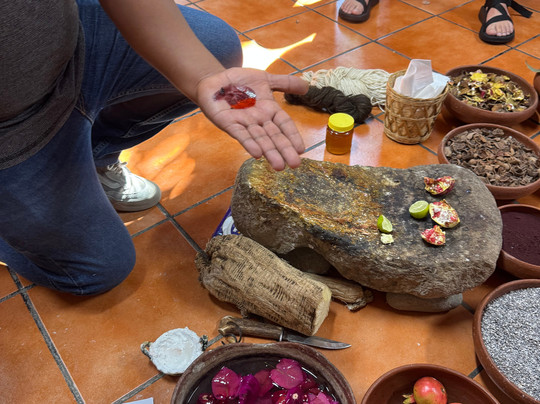 Shenic Tours-瓦哈卡必去景点