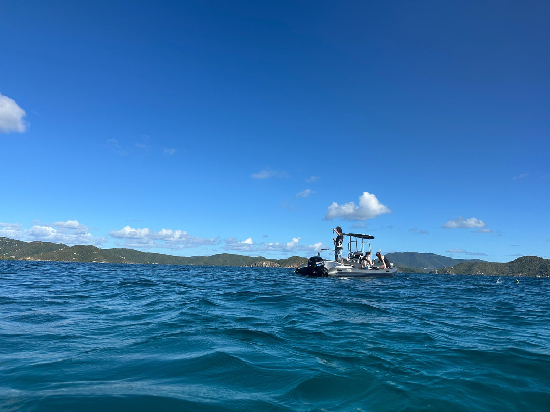 Dockside Dinghy-Coral Bay必去景点