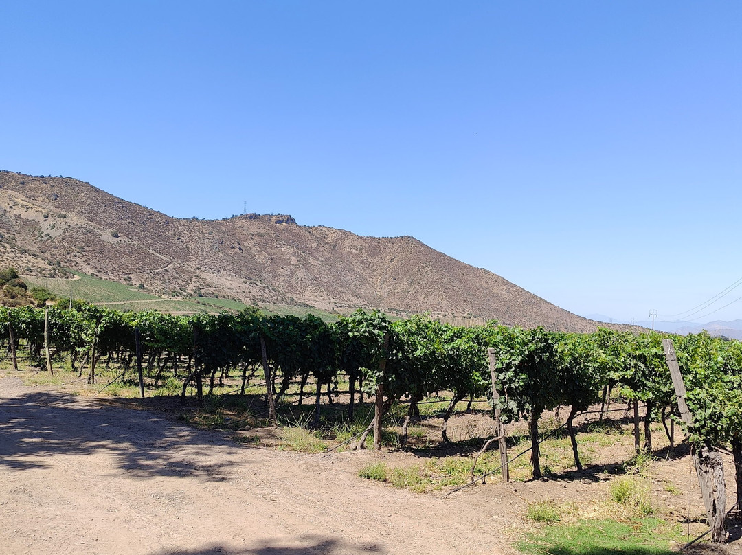 Besoain Wines-Pirque必去景点