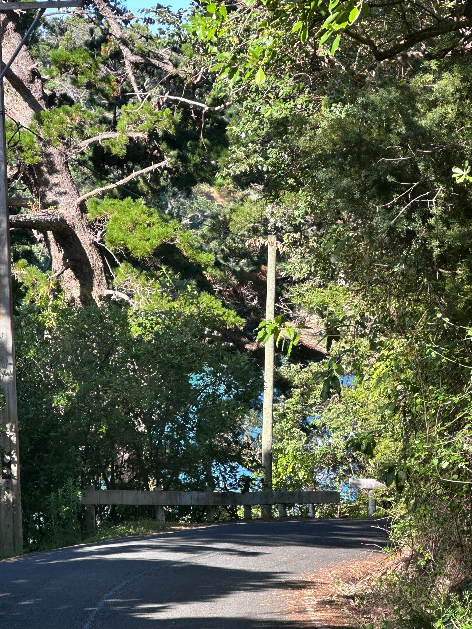 Leigh Central Coastels-官方