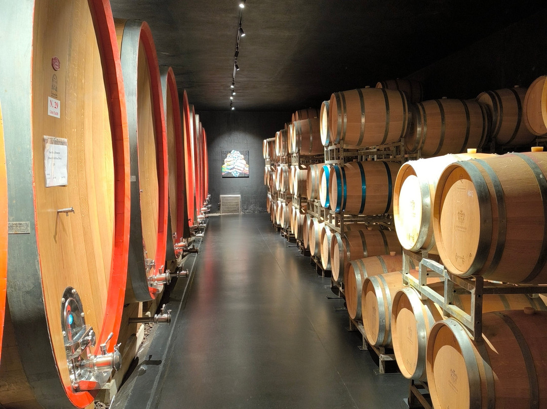 Cantina Aldo Rainoldi-Chiuro必去景点