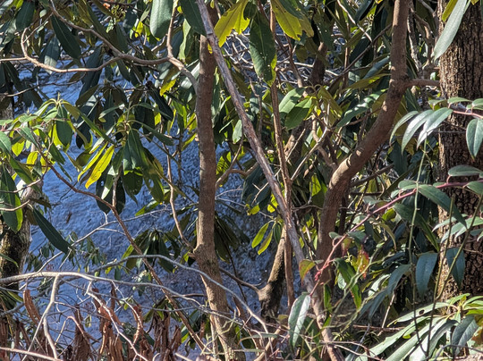 The Sinks-大雾山国家公园必去景点