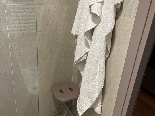 Amedia Milan, Trademark Collection By Wyndham主图