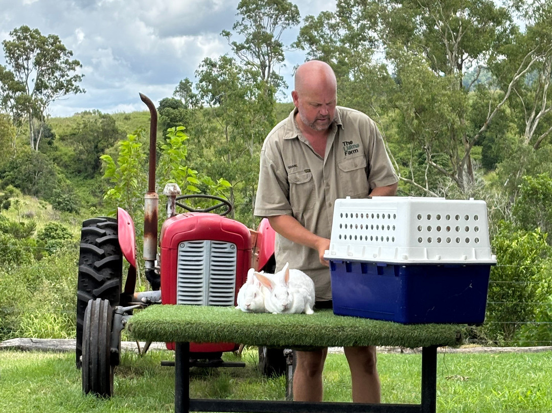 The Llama Farm-伊普斯威奇必去景点