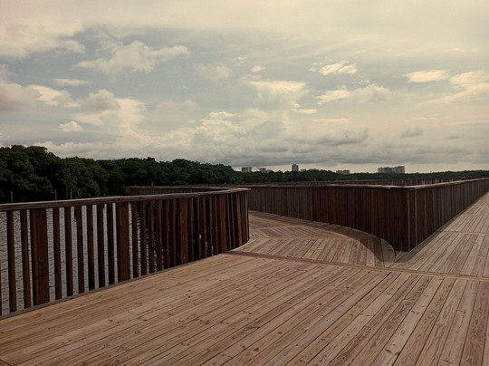 Ecoparque Ciénaga De Mallorquín-Barranquilla必去景点