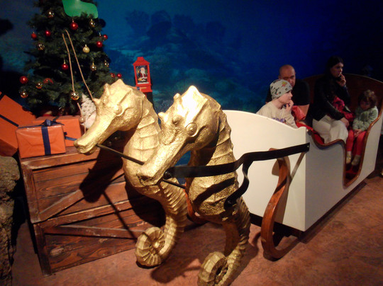 Malta National Aquarium-卡拉必去景点