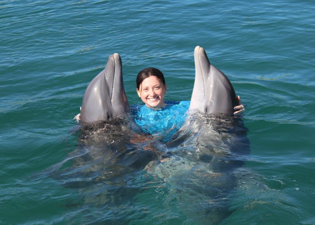 The Dolphin Experience-弗里波特必去景点