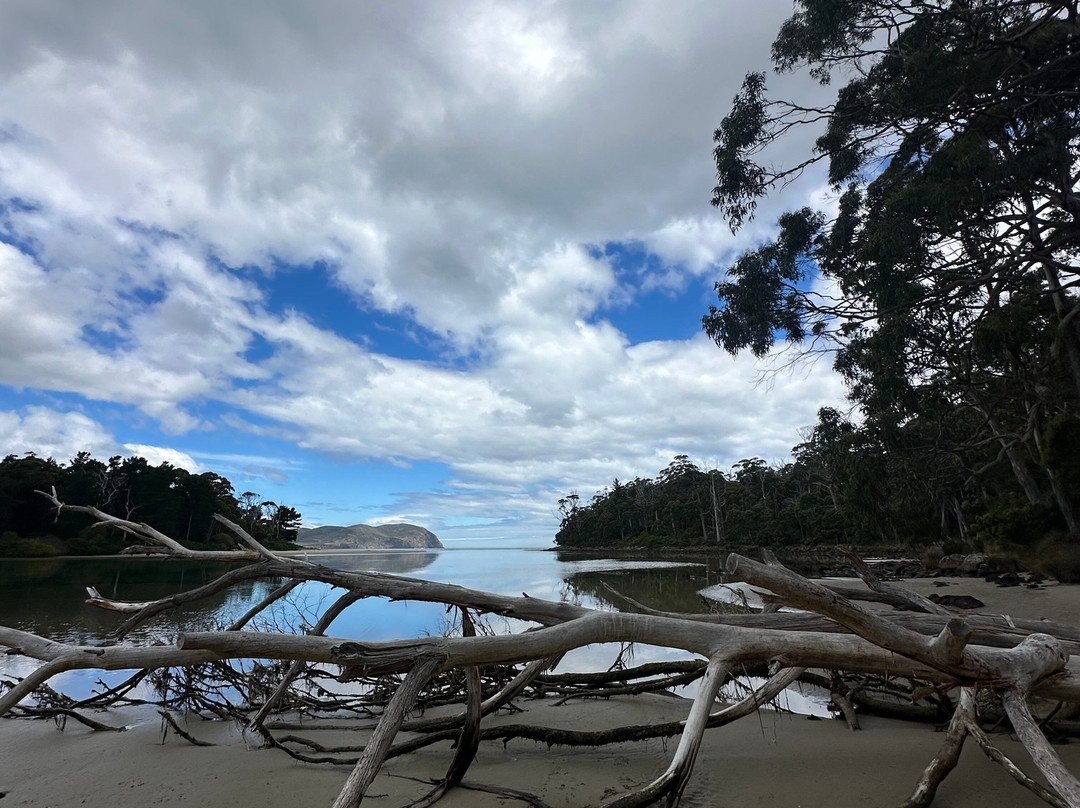 Tassie Tours Tasmania-霍巴特必去景点