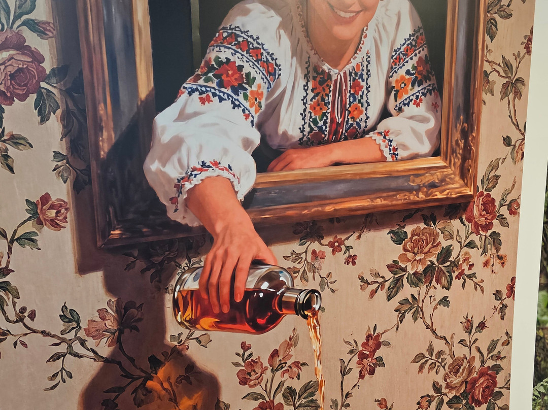 MiM - Muzeul Imaginației Maramureș-Sighetu Marmatiei必去景点