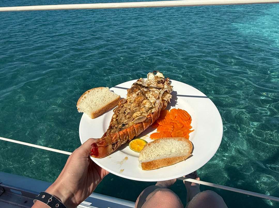 Cuba Libre Pro Excursiones Varadero-巴拉德罗必去景点