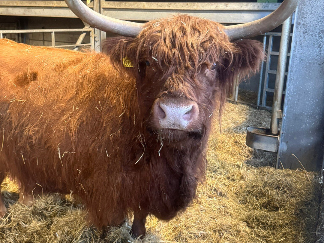 Cannon Hall Farm-Cawthorne必去景点