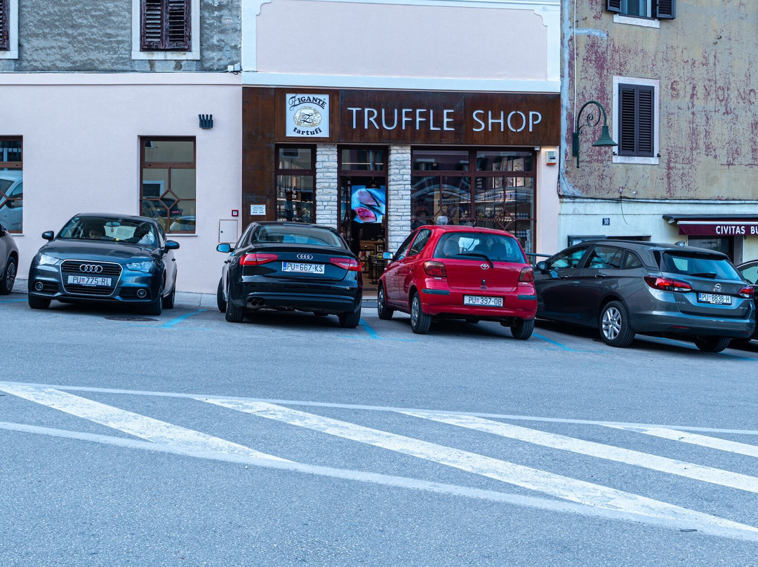 Zigante Tartufi Shop Buje-布延必去景点