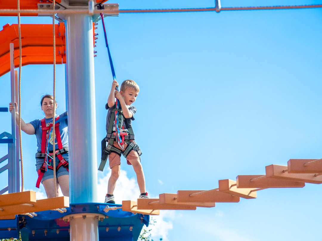 Shark Wake Park 561-西棕榈滩必去景点