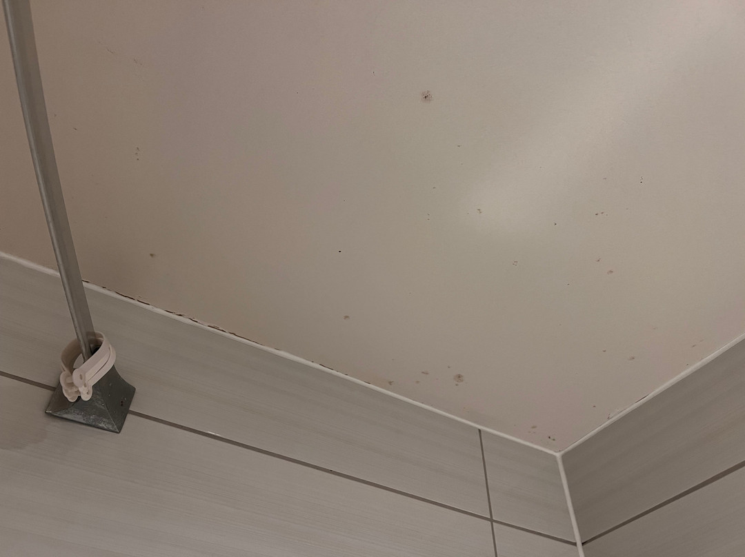 兰开斯特普瑞米尔酒店主图