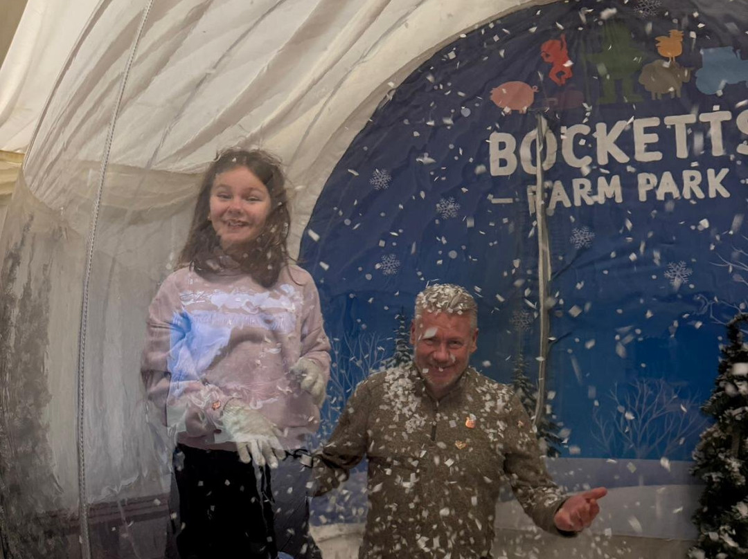 Bocketts Farm Park-莱瑟黑德必去景点