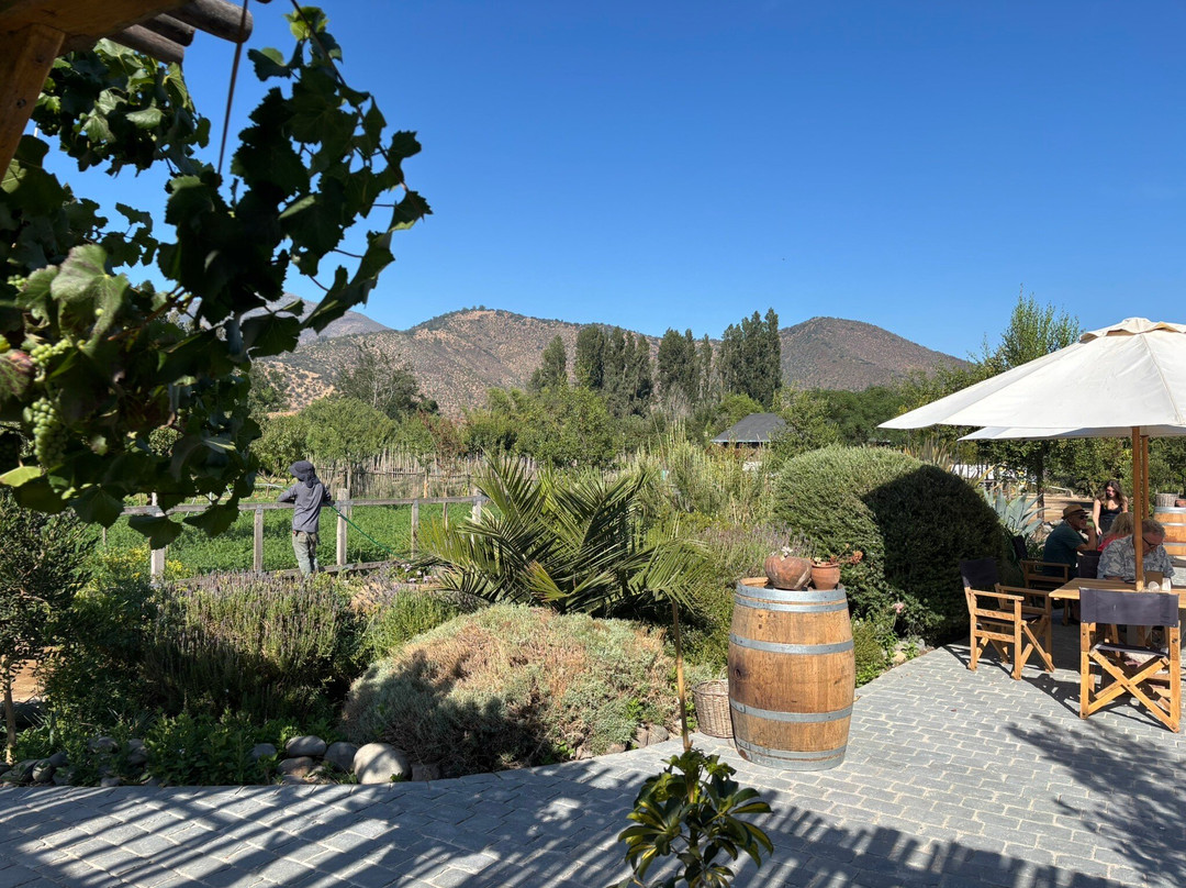 Campo La Quirinca-Isla de Maipo必去景点