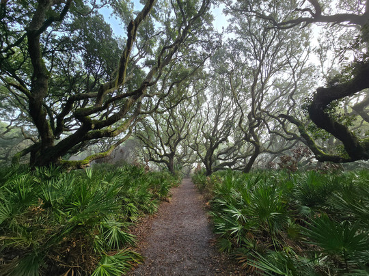 Cumberland Island Ferry-St. Marys必去景点