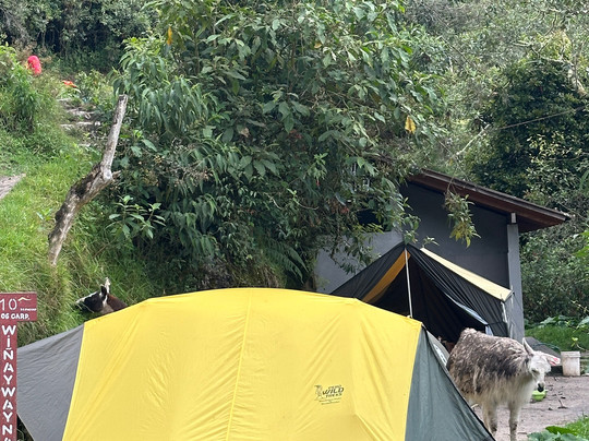 Peru Treks & Inca Trail-库斯科必去景点