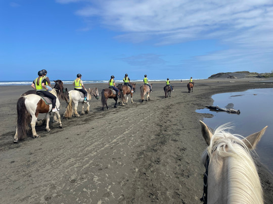 Muriwai Beach Horse Treks-穆里怀海滩必去景点