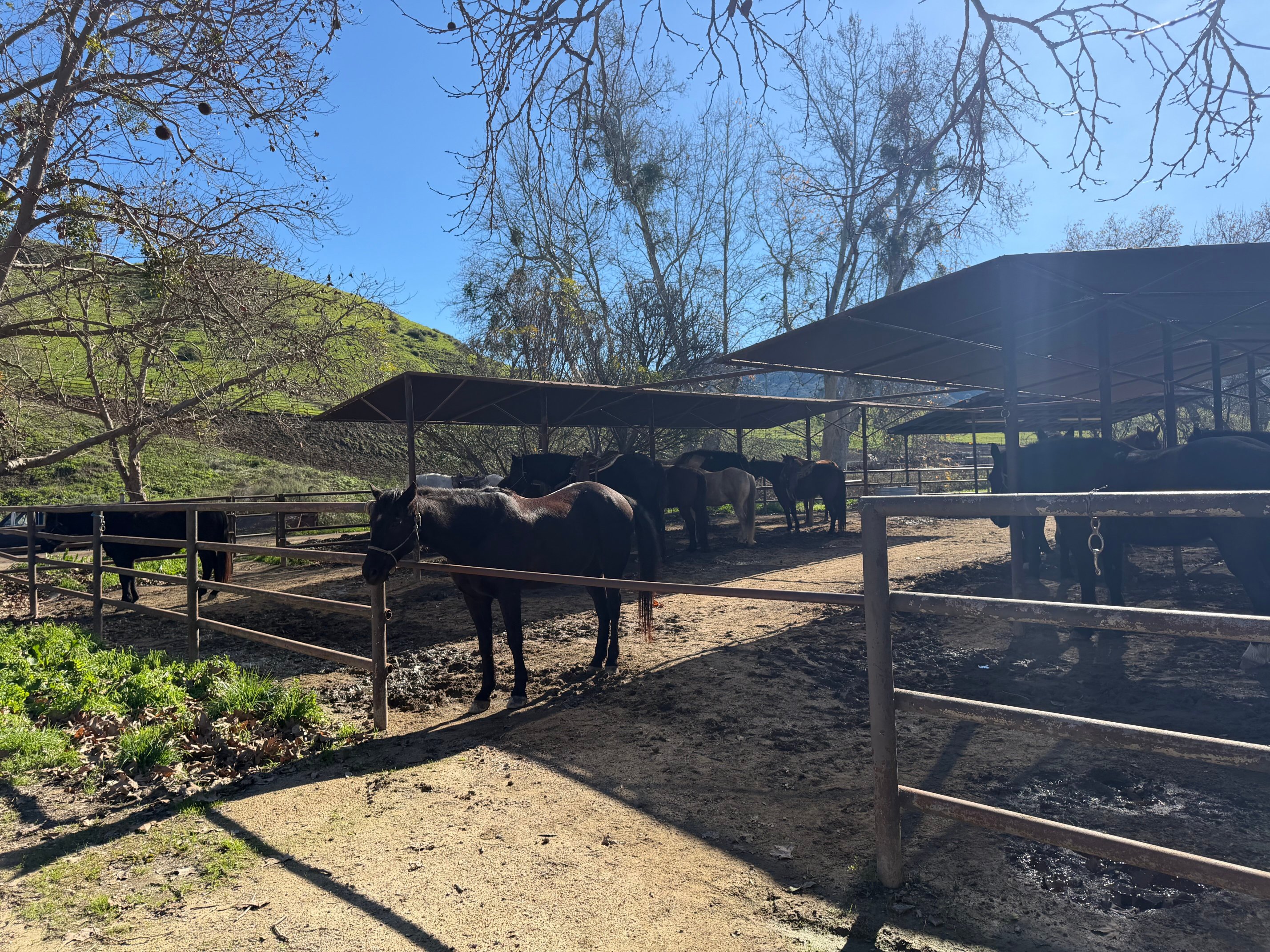 阿利萨度假牧场-家庭/游戏区