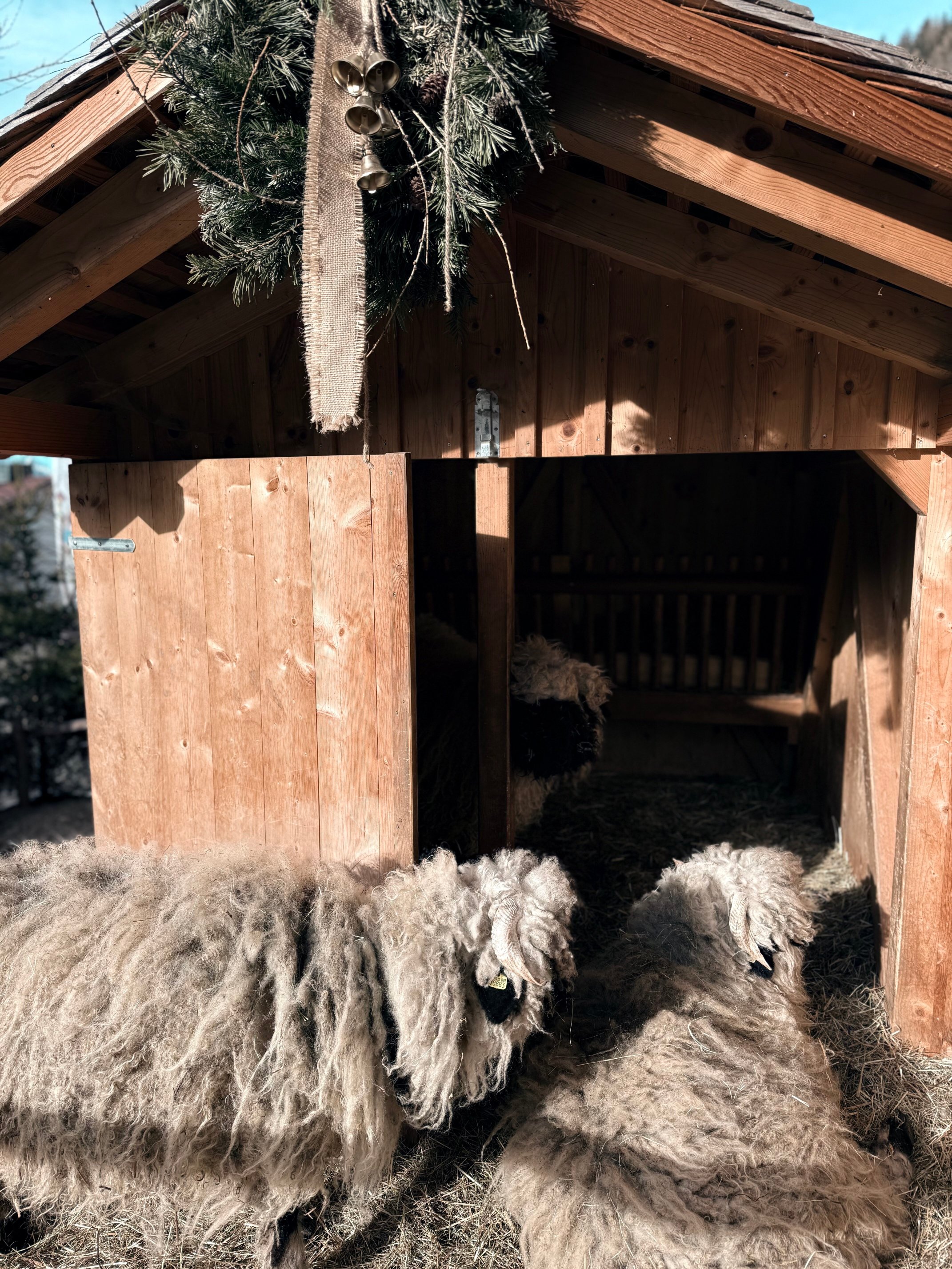 Familyhotel Sonnwies Dolomites-官方