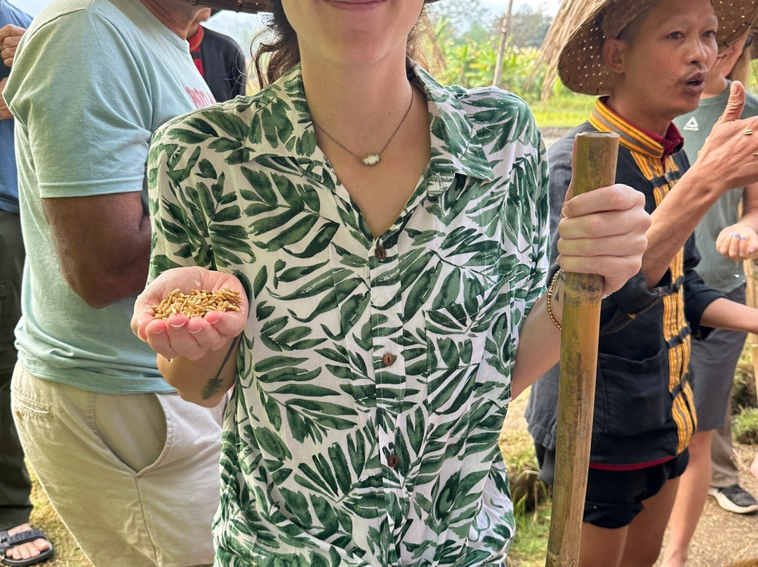 Living Land农场体验之旅-琅勃拉邦必去景点