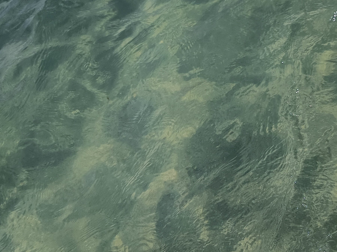 Igortur-嘎林海斯港必去景点