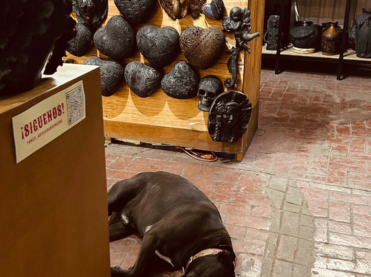 Fango Arte en Barro Negro-San Bartolo必去景点