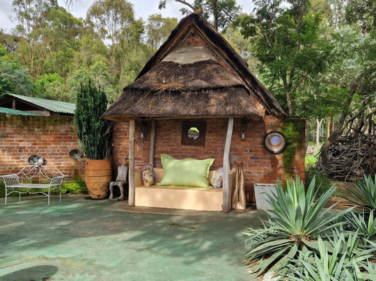 Wild Is Life-哈拉雷必去景点