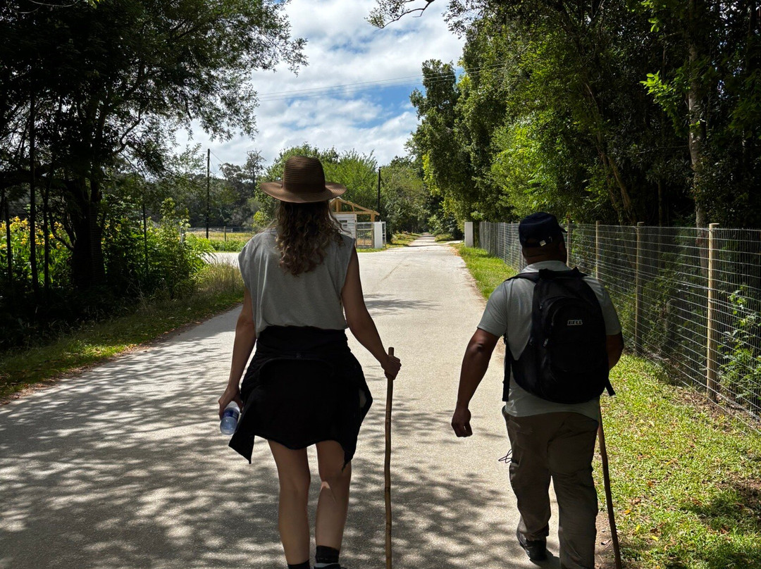 Stormsriver Adventures - Tsitsikamma Woodcutters Journey-暴风河必去景点