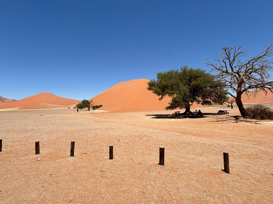 Namib Desert-苏丝斯黎必去景点