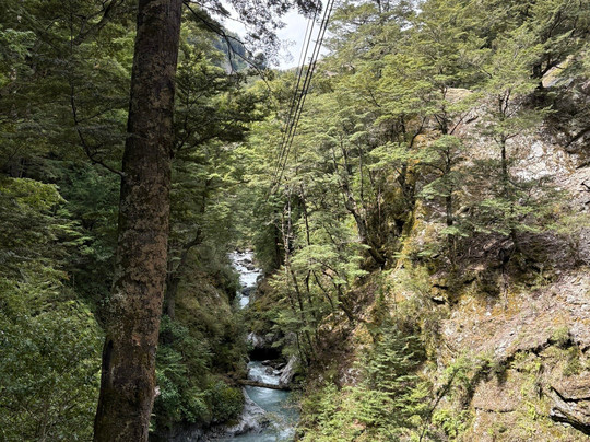 Paradise Ziplines-格伦诺基必去景点