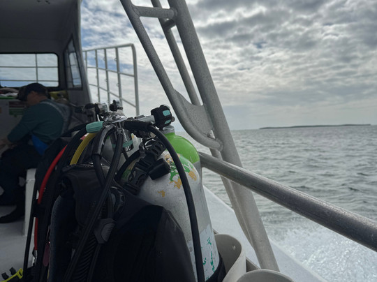 Rainbow Reef Dive Center-拉哥岛必去景点