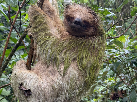 Life Time Travel-萨迪纳尔必去景点