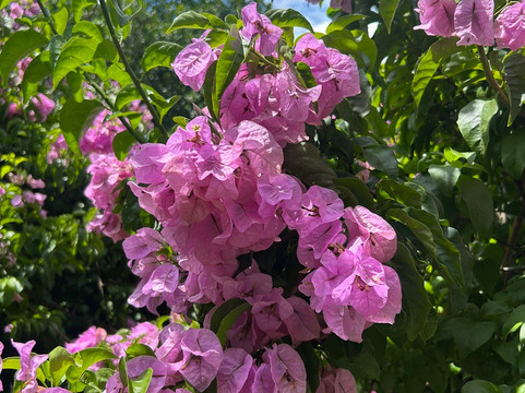 Rituaali Clínica & Spa主图