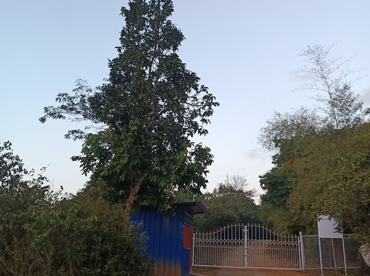 Kundadri-Shimoga必去景点